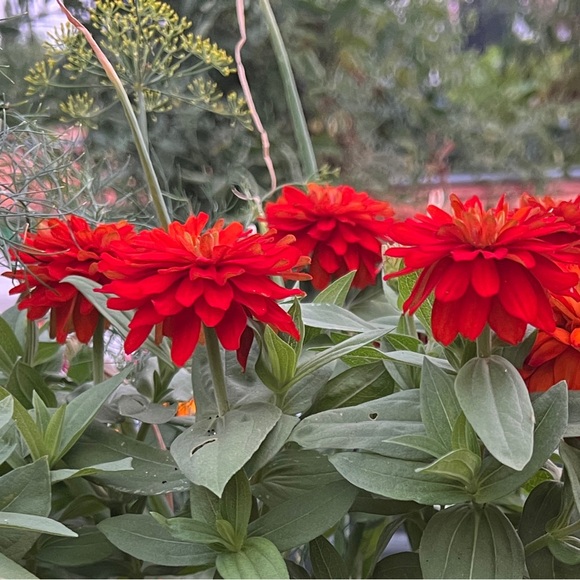 Meet your Posher, K - Picture 1 of 1